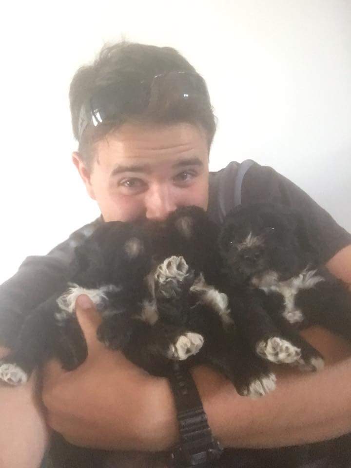 Will holding Bluegrace Portuguese Water Dog puppies