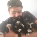 Will holding Bluegrace Portuguese Water Dog puppies